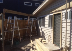 new-pergola-rosebud-before